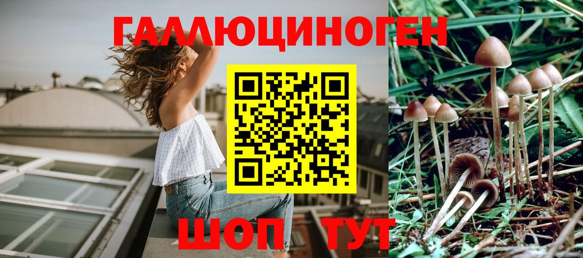наркошоп  Галлюциногенные грибы мухоморы  Галлюциногенные грибы Psilocybine cubensis  Вход с VPN  Таганрог 
