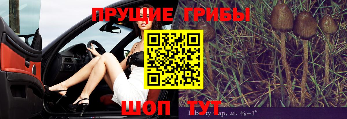 Галлюциногенные грибы GOLDEN TEACHER Таганрог